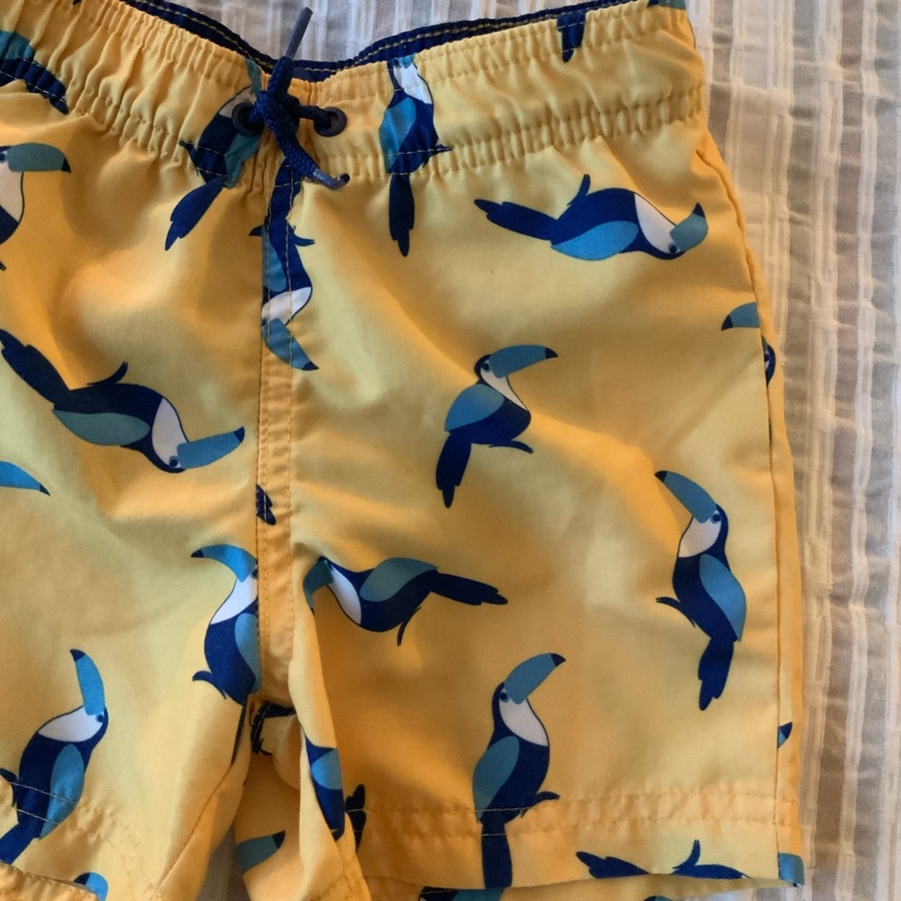 2T boy Tropical bird swim shorts & sun hat bundle